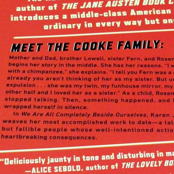 3 for $10 book sale! Best Seller,  Completely beside ourselves, Karen Joy - Picture 4 of 9